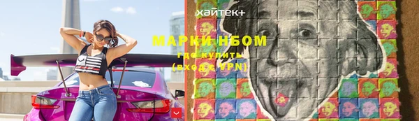 дурь Новодвинск