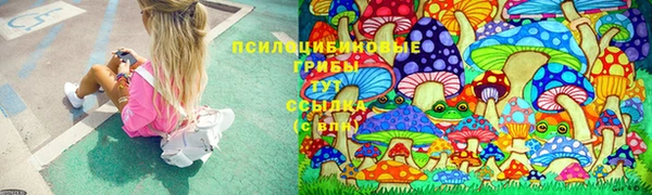 a pvp Алзамай
